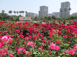 20150430-1.bmp
