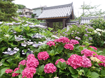 201506015-1.bmp