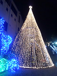 20151223-1.bmp