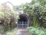 IMG_6138.jpg